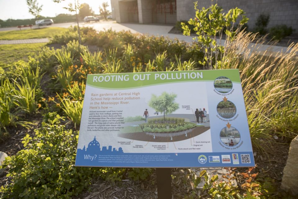 An educational sign in a rain garden in front of the school's entrance. The title on the sign says 