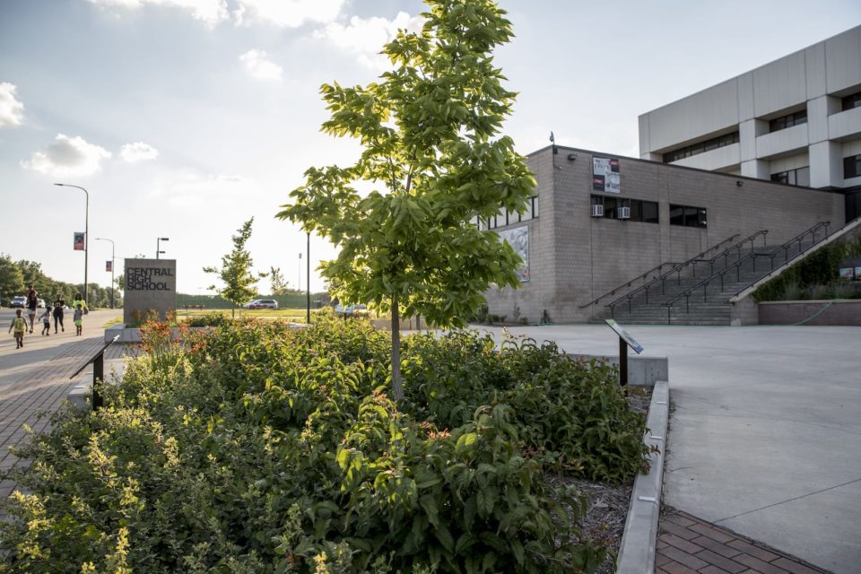 A rain garden in a planter next to a concrete plaza with steps leading to the school's entrance. 