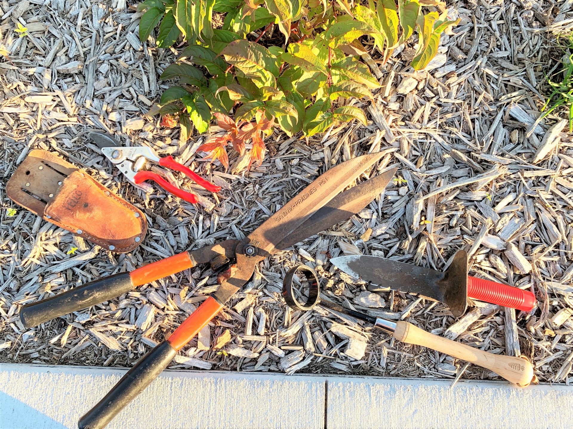 Rain Garden Maintenance CRWD