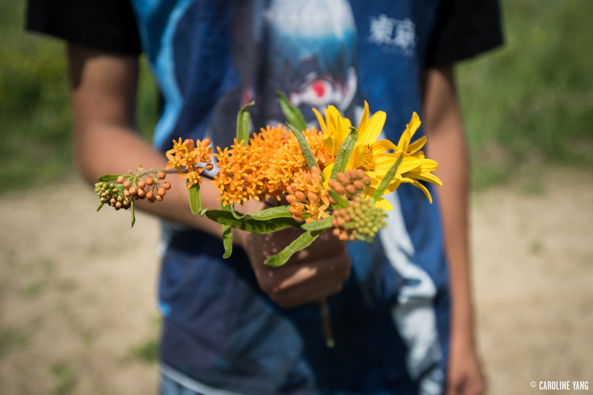 Child holds a bouquet of orange and yellow wildflowers at Trout Brook Nature Sanctuary