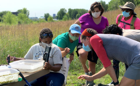 A group of people surrounding a picnic table bins look at a tablet. Shallow plastic bins of pond water are on the table. 