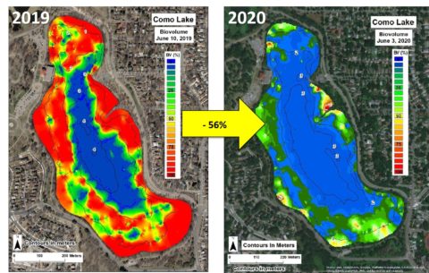 Maps of Como Lake illustrate the drastict reduction in plant densities, the 2019 map has lots of bright red ringing the shallower areas of the lake - indicating dense biovolumes. The 2020 map is mostly blue, with some green in the shallow areas - indicating less dense biovolumes. 