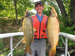 A person stands in a boat holding up two large common carp. 