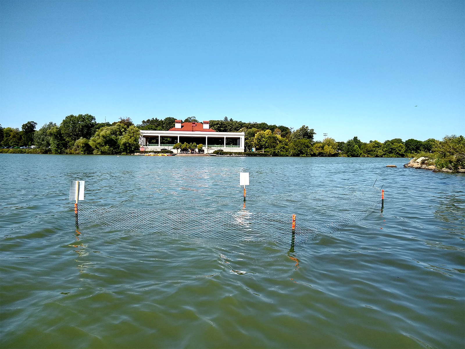 An enclosure with four metal posts and rabbit wire fencing in Como Lake with the Pavilion in the background.