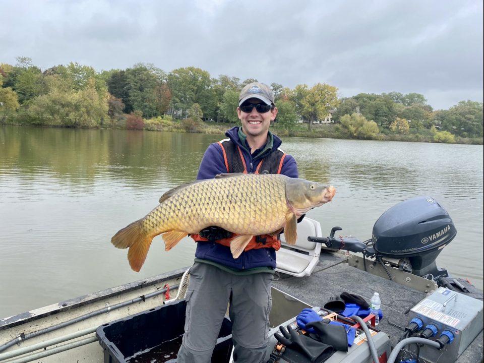 A smiling person stands in a boat holding a common carp. The fish over 24 inches in length with large, brownish-green scales and a pair of long, whisker-like barbels under its mouth. 