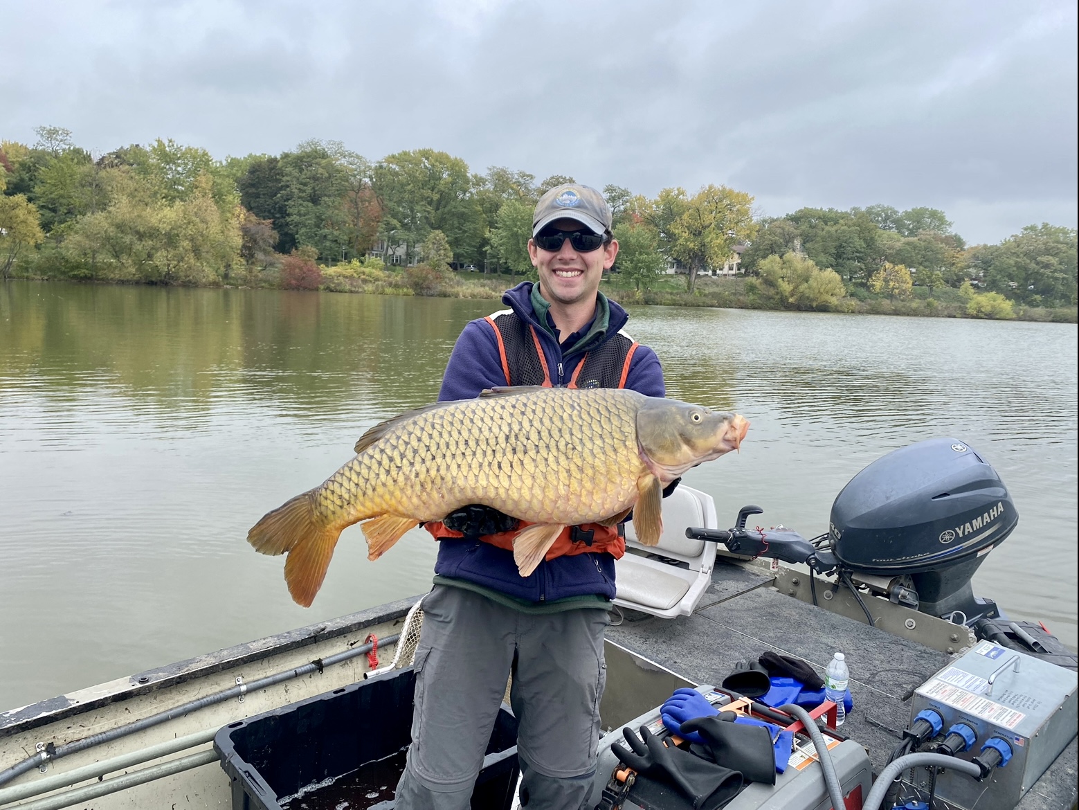 Common Carp Removal - CRWD