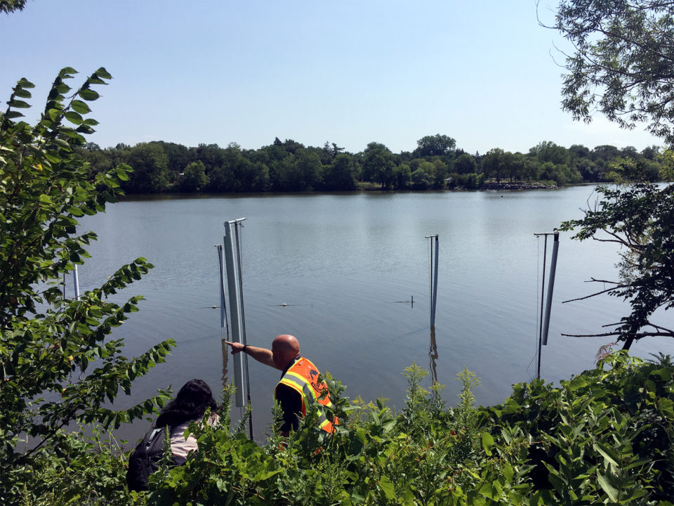 Two people on the lakeshore look at polls connected to the box nets in the lake