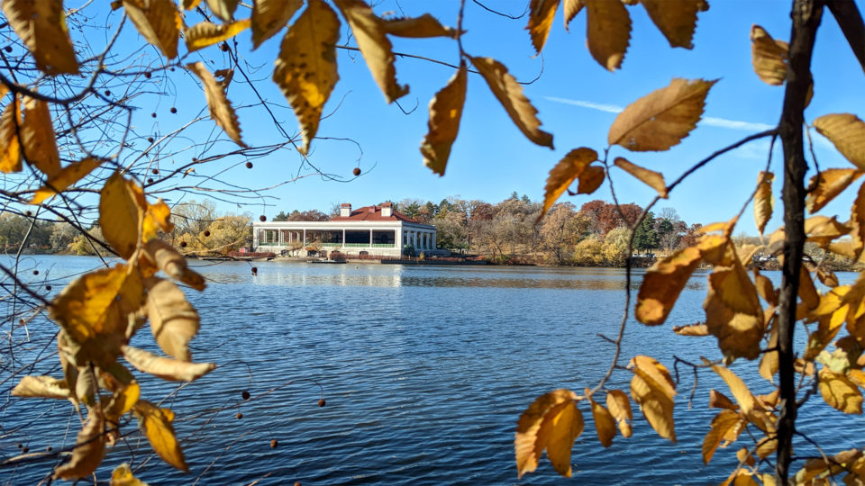 Como Pavilion is framed by branches with gold and brown leaves from across the lake. 