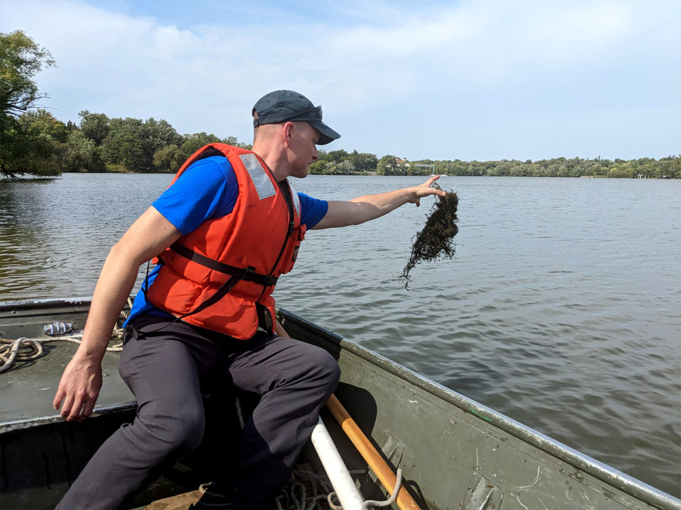 A man in a boat wearing a life jacket tosses a clump of aquatic plants into the lake. 