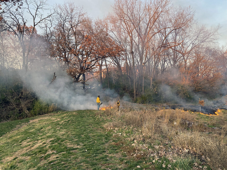 A person wearing a yellow shirt and safety gear holds a metal burner near a line of low flames on a grassy ridge. A second person nearby watches the fire’s progress. 