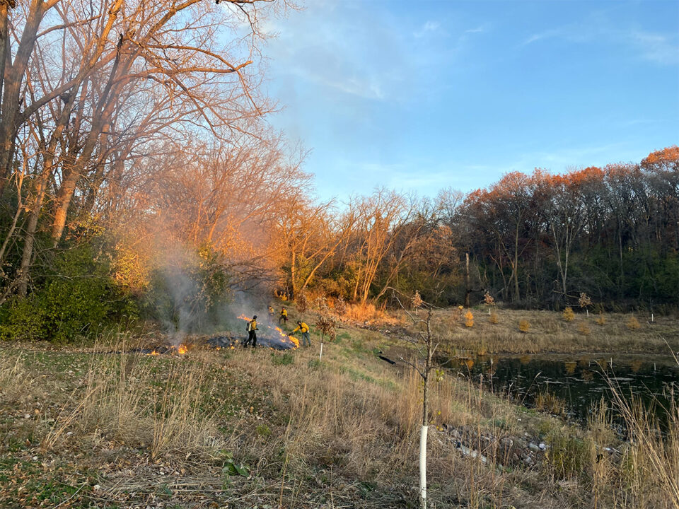 Four people wearing yellow shirts and safety gear stand in the distance next to a small fire on a slope near a pond.