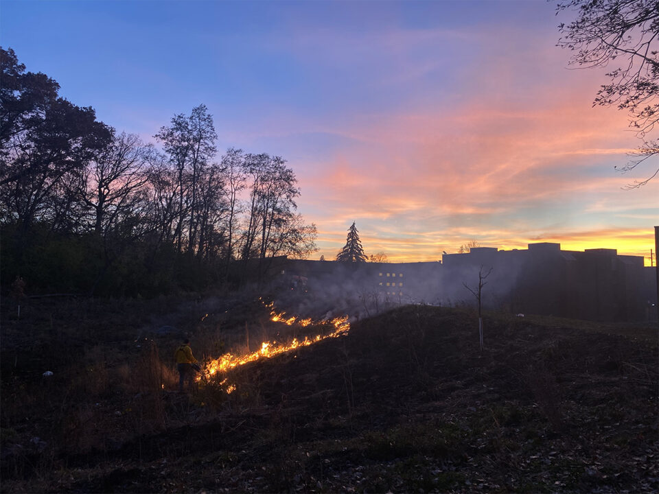 A line of flames on a slope in the darkness of dusk with a sunset of soft pink, orange and yellow in the background. 