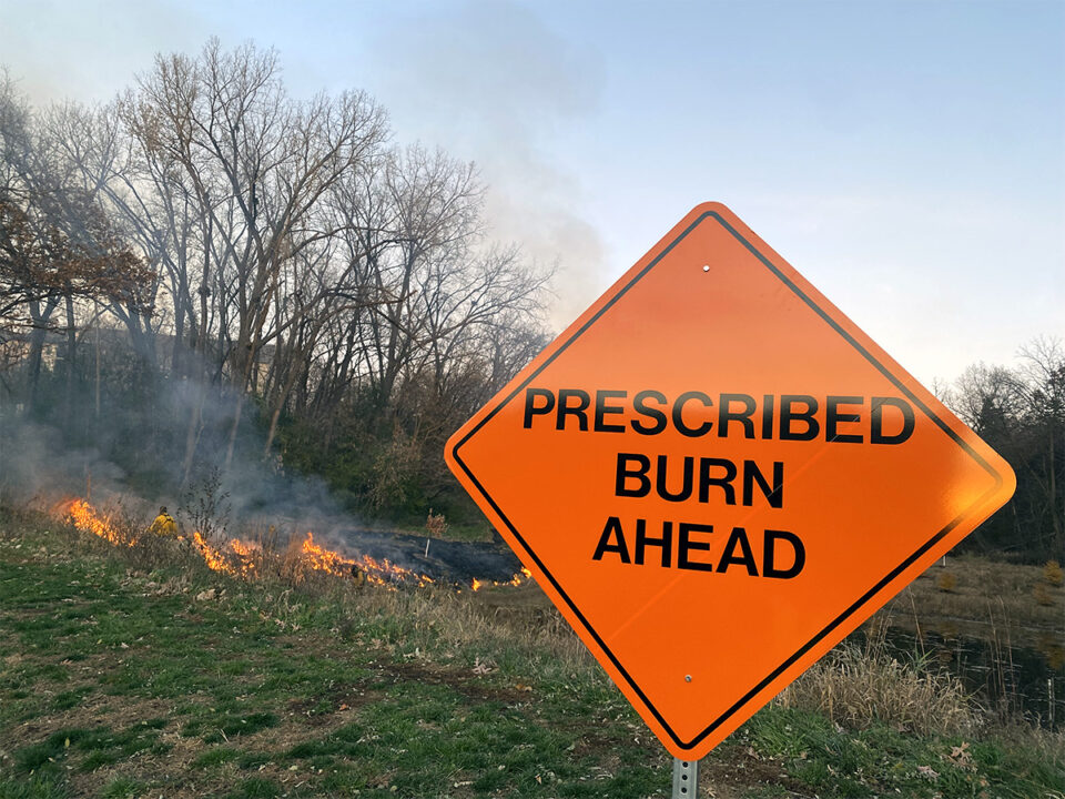 A diamond-shaped orange safety sign on a ridge of green grass says, “Prescribed Burn Ahead”, there are flames and fire professionals in the background. 