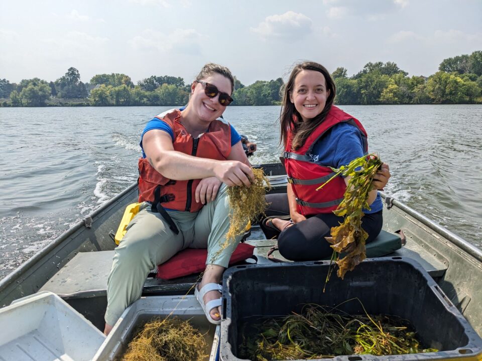 Two smiling women are sitting in a boat on a lake are wearing life vests and holding up clumps of aquatic plants from large plastic bins filled with native plants. 