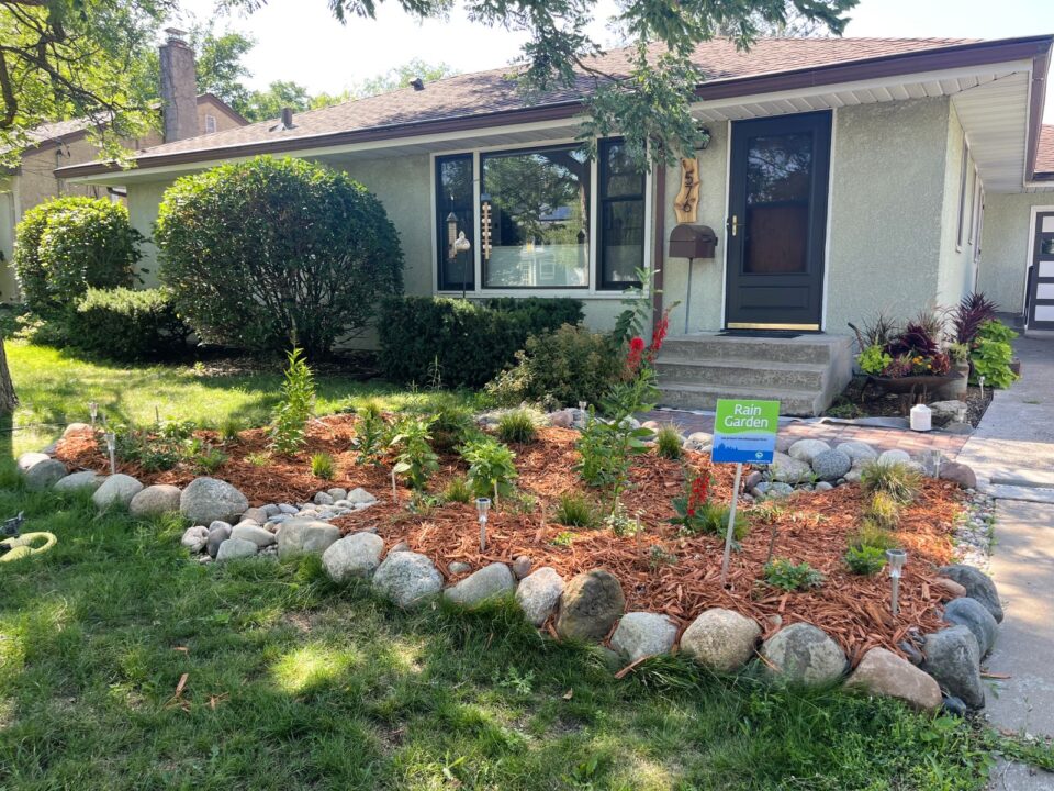 A rain garden with green native plants and tall red flowers in front of a single-story, cream colored stucco house with a driveway on the right. The garden has a sign saying, 