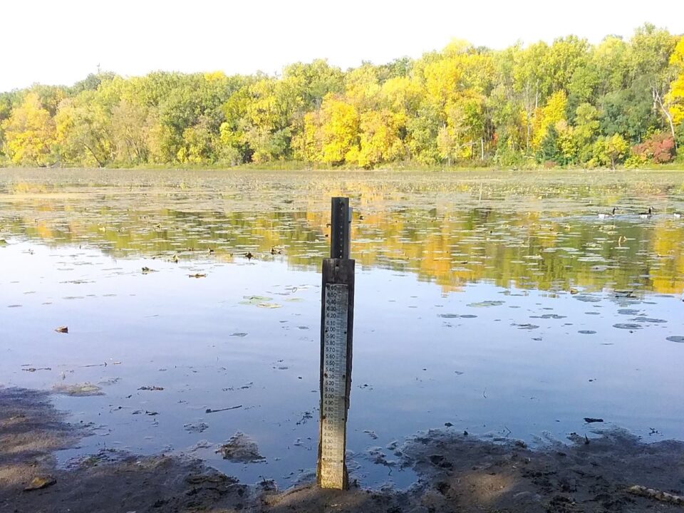 A lake level gauge on a post is surrounded by mud at the edge of Crosby Lake. A backdrop of dense trees along the shoreline displays vibrant fall foliage reflected in the tranquil lake. 
