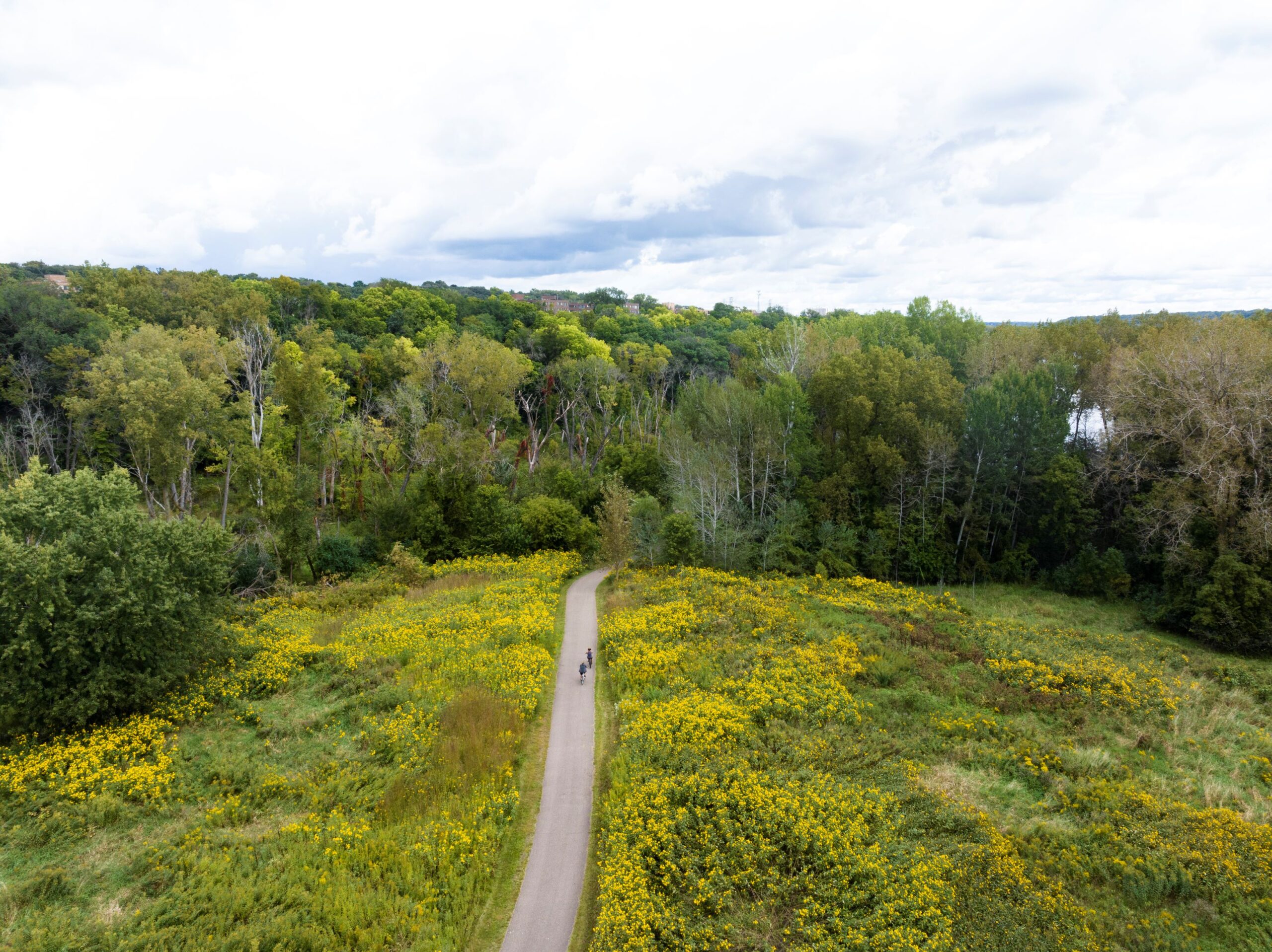 An arial view of two people biking on a paved path intersecting a meadow of yellow wildflowers under an overcast sky. The path curves into a forest and a lake is visible behind the trees.