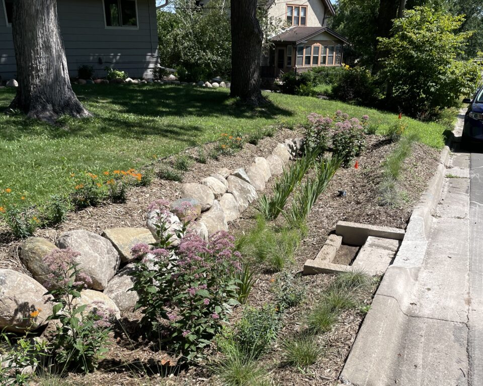 A boulevard garden alongside a street with a break in the curb. The garden has grasses and native plants with pink and orange flowers.