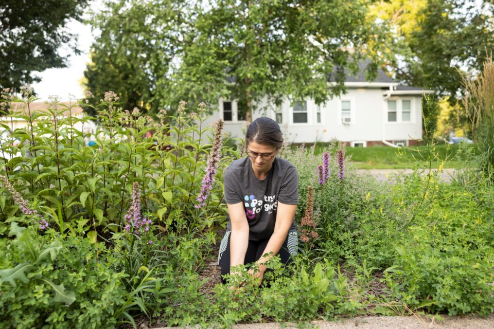  A person wearing a t-shirt kneeling in a lush garden with blooming blazing stars of spiky purple flowers, and tall clusters of pale pink Joe Pye Weed. The person is looking down and pulling up weeds that are growing along the garden edge. A residential street and houses and in the background.