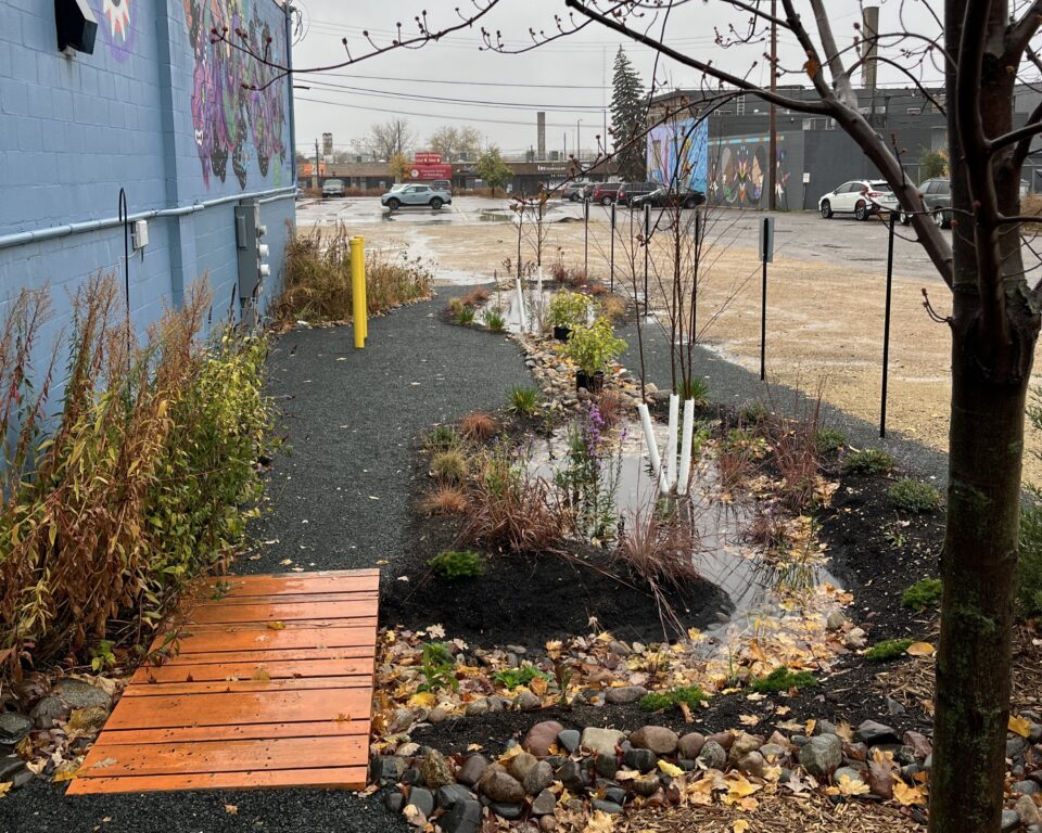 A garden with two basins connected by a rock channel and surrounded by dark gravel. The garden has native shrubs, grasses, and trees, and is filled with water during an active rainstorm. 