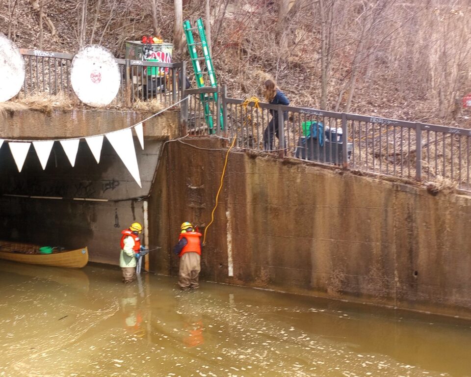 Two people in safety helmets, life vests and chest waders standing in shallow brown water in a large concrete tunnel opening in a wooded slope. A canoe with supplies is next to them in the tunnel. They are using tools on the concrete wall while someone standing on the ground above them looks on. 