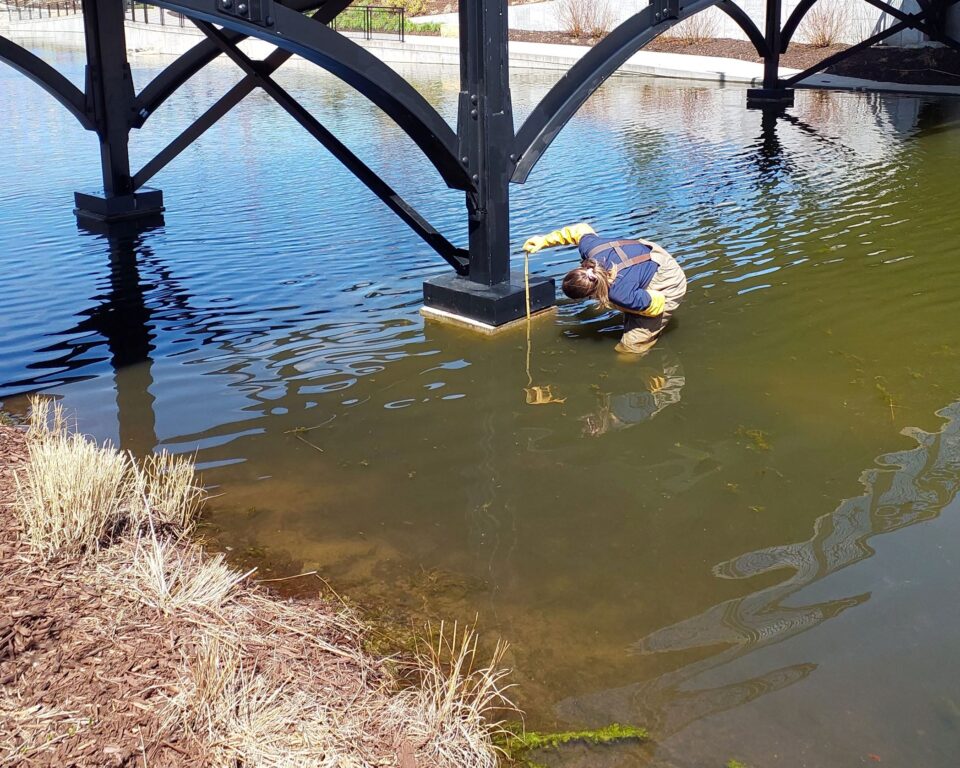 Person in chest waders and long work gloves standing in shallow water under a small bridge, leaning over to look at a measuring stick in the water.