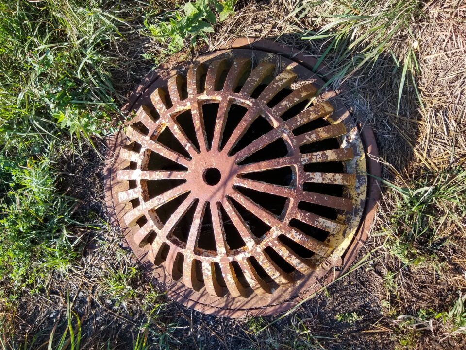 A circular, domed metal grate on the ground surrounded by long grass and mulch.
