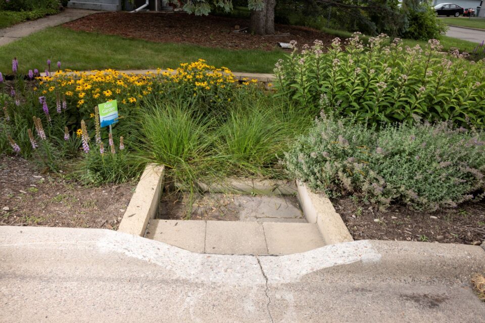 A break in the curb leads to a boxy step-like structure made of landscaping blocks that leads to a lush rain garden.