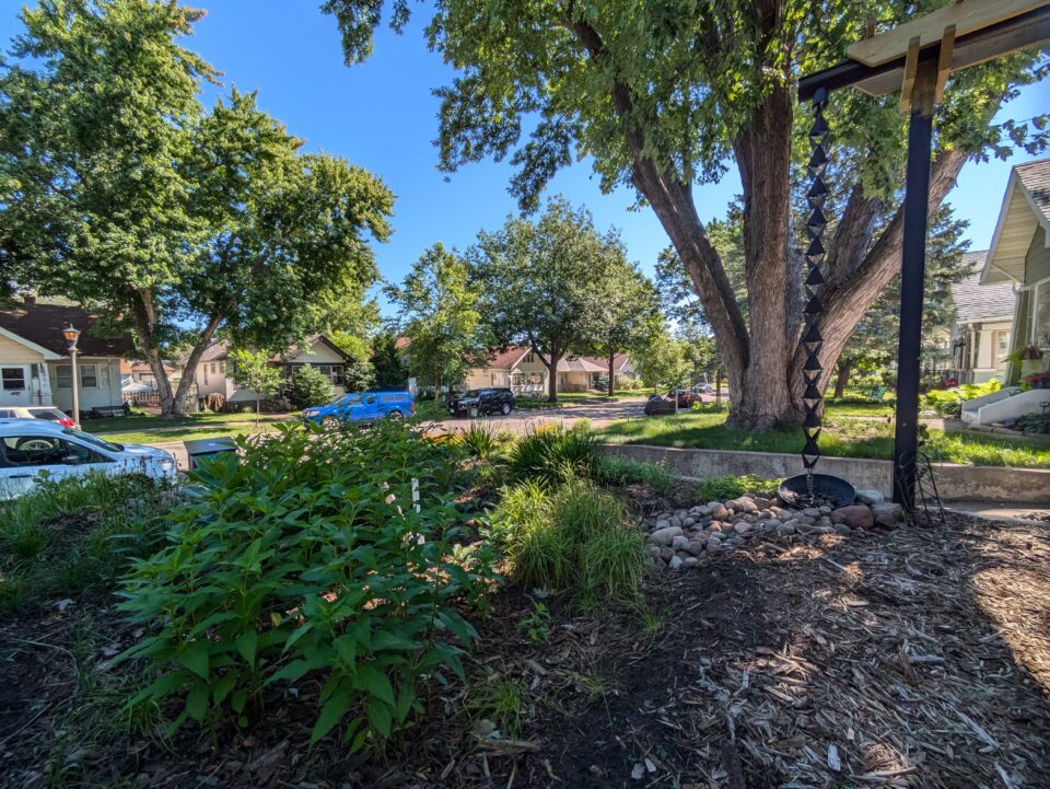 A rain chain connects a roof downspout to a pile of rocks leading to a lush, front yard rain yard.