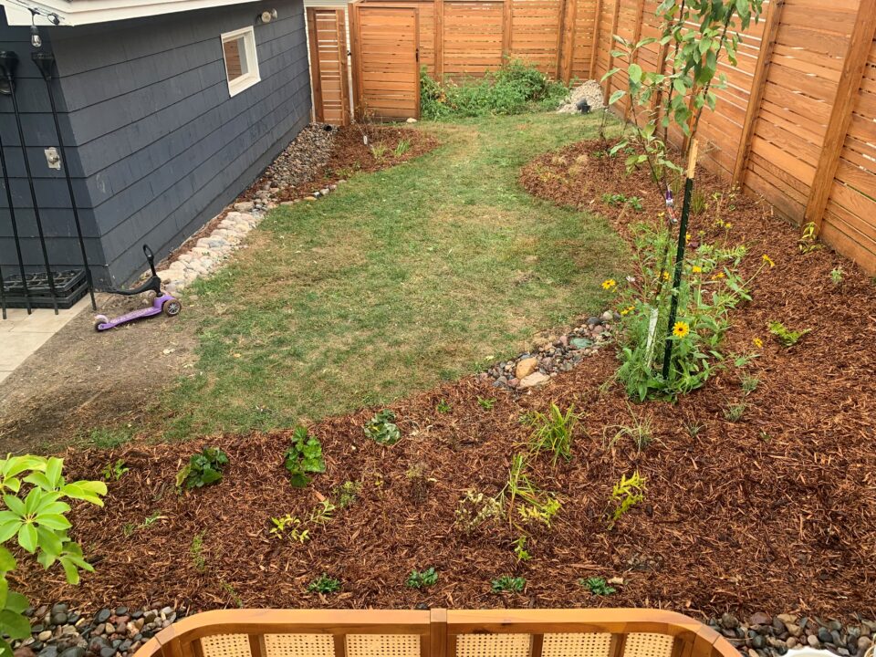 Mulched backyard rain gardens curve along a wooden fence and the side of a garage with a small lawn of green turf grass in the center.