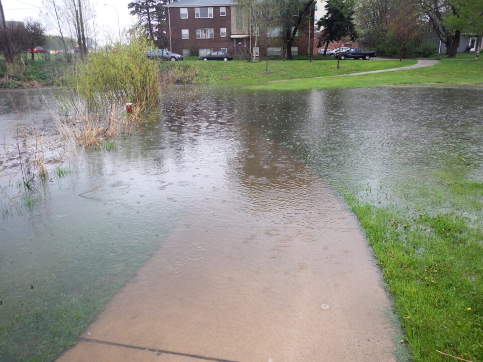 A flooded park area next to a pond with water covering grass and a pathway, with residential buildings in the background.