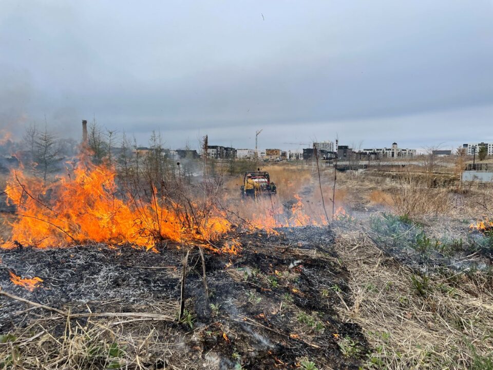 A controlled burn of a large rain garden basin in progress with a water truck on site, set against a backdrop of urban buildings under a cloudy sky.