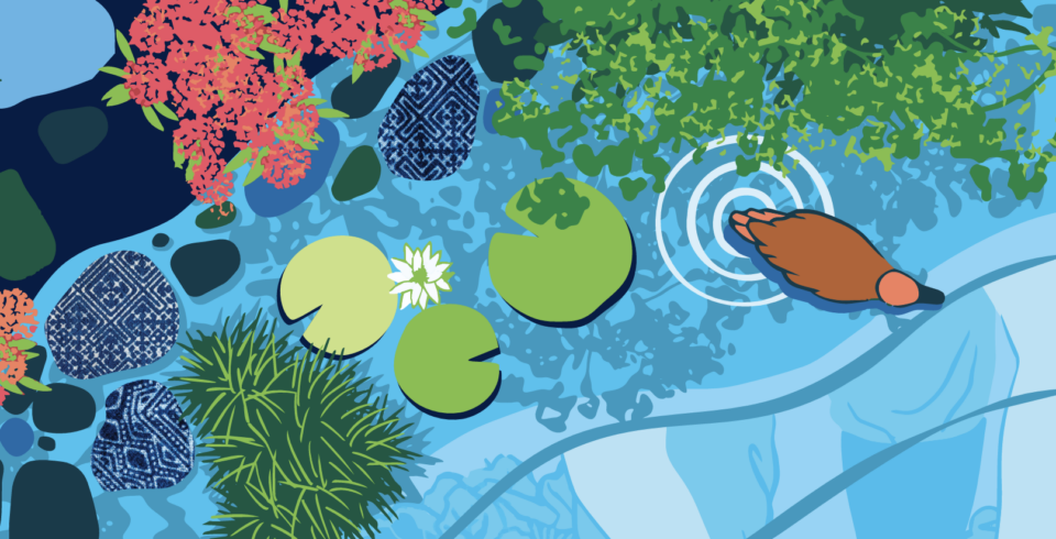 Illustration of a vibrant lakeshore with a duck, lily pads, patterned stones, and blooming native plants along rippling blue water.